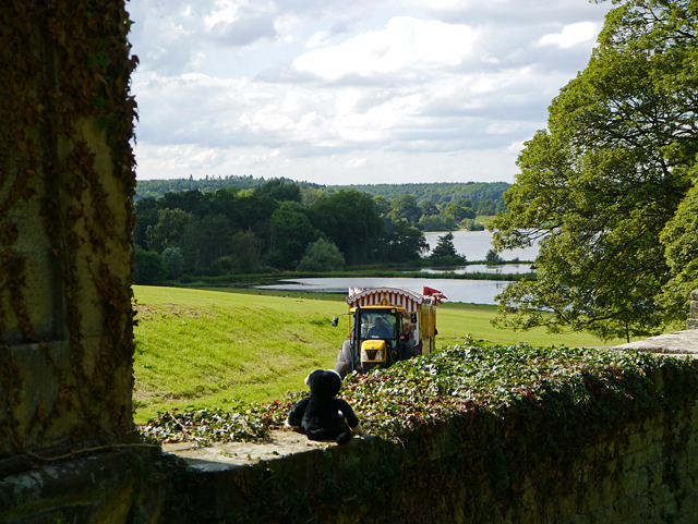 Minty Mooch monkey at Castle Howard - Kelly Car returning from the Great Lake