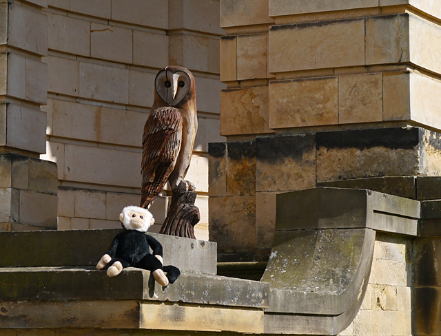 Minty Mooch monkey at Castle Howard - Kelly Car returning from the Great Lake