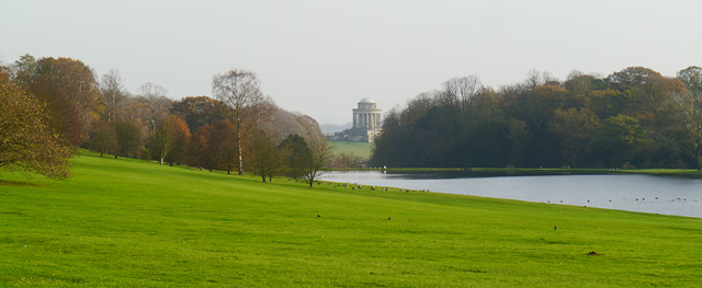 Mina Mooch monkey at Castle Howard - Mausoleum in the autumn mist