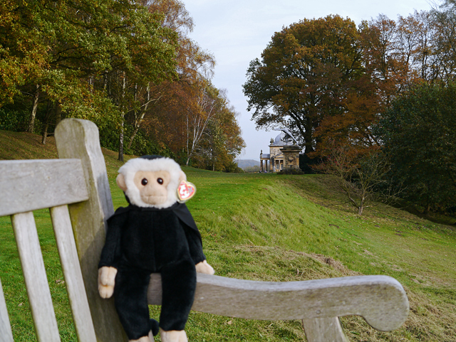 Mina Mooch monkey at Castle Howard - view of the Temple of the Four Winds