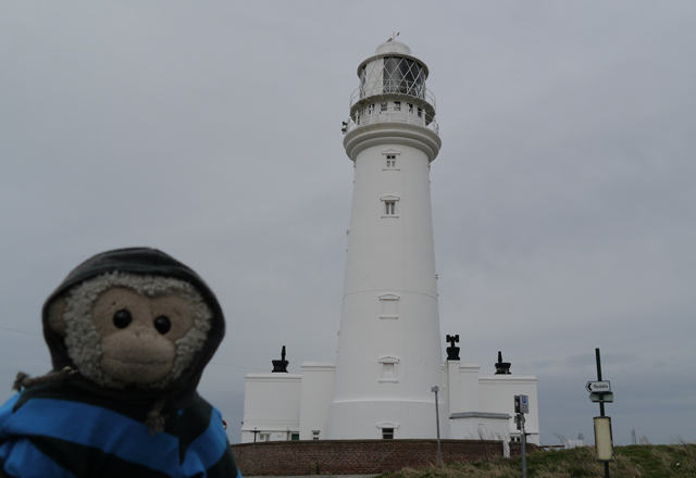 Mooch monkey at Flamborough Head lighthouse
