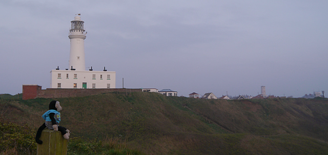 Mooch monkey at Flamborough Head lighthouse