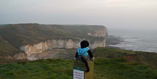 Mooch monkey at Flamborough Head cliffs