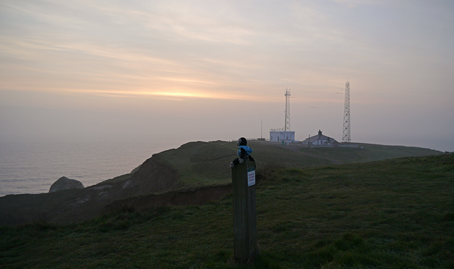 Mooch monkey at Flamborough Head at sunrise