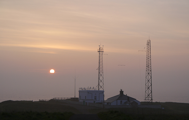 Mooch monkey at Flamborough Head at sunrise