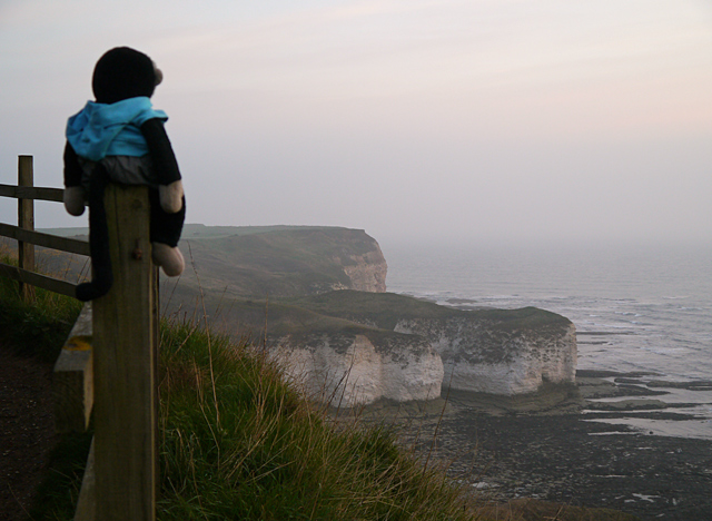 Mooch monkey at Flamborough Head cliffs