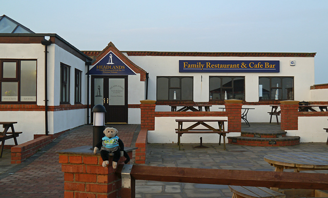 Mooch monkey at the Headlands Cafe, Flamborough Head