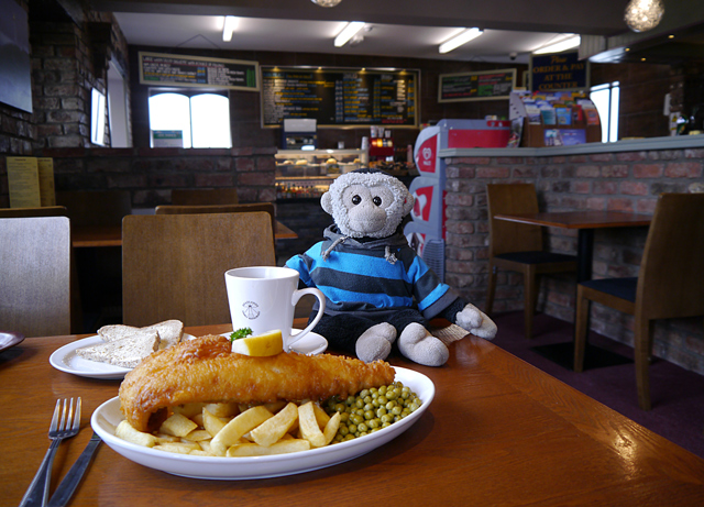 Mooch monkey with lunch at the Headlands Cafe, Flamborough Head