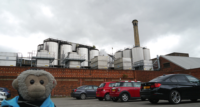 Mooch monkey at Tadcaster - John Smith's Brewery (Heineken)