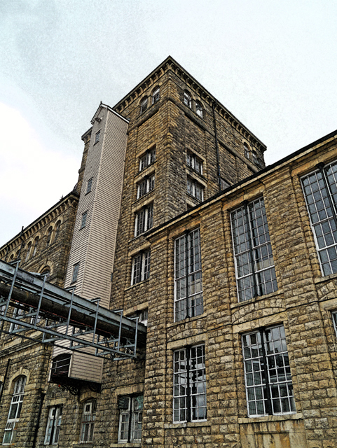 Mooch monkey looks at the Tadcaster Breweries