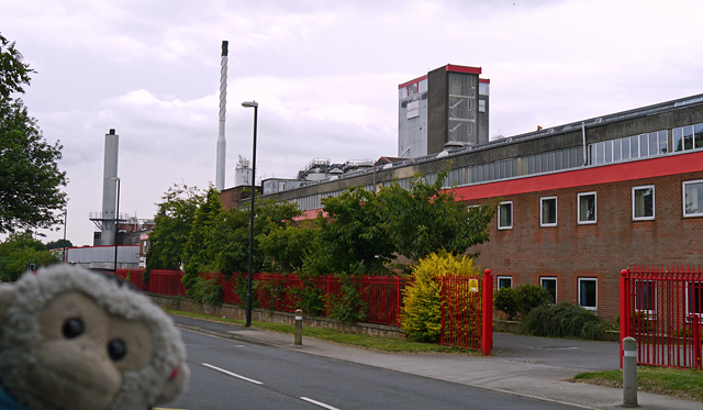 Mooch monkey at Tadcaster - Molson Coors Brewery