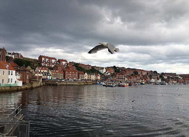 Mina Mooch monkey at Whitby - harbour