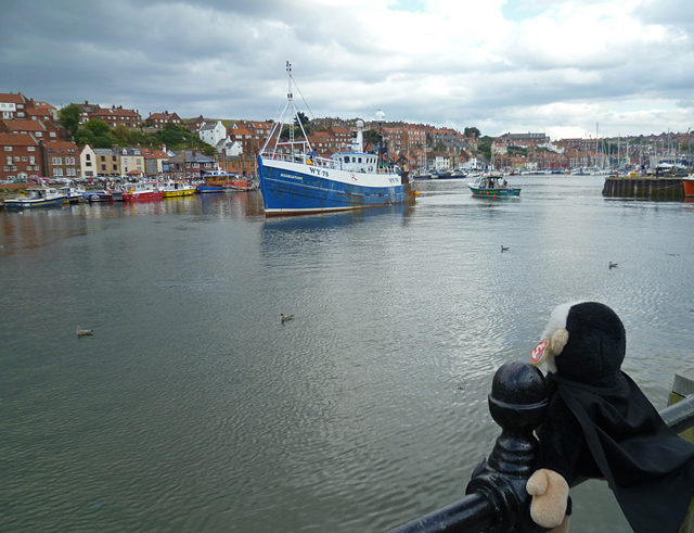 Mina Mooch monkey at Whitby - fishing boat in harbour
