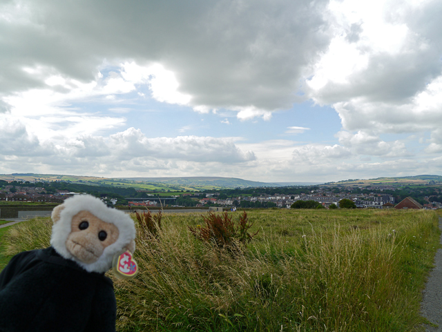 Mina Mooch monkey at Whitby