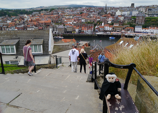 Mina Mooch monkey at Whitby - top of the Church Stairs