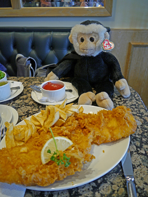 Mina Mooch monkey at Whitby - fish and chips