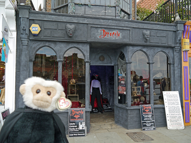 Mina Mooch monkey visits Whitby in Yorkshire