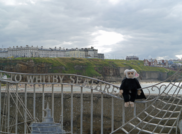 Mina Mooch monkey at Whitby - West Cliff from the West Pier