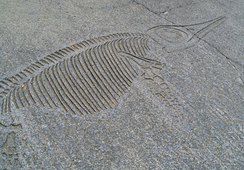 Mina Mooch monkey at Whitby - ichthyosaur on the West Pier