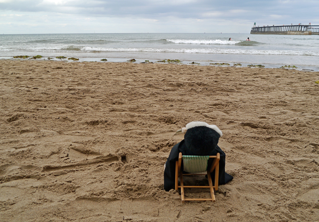 Mina Mooch monkey at Whitby - in a deckchair on the West Beach