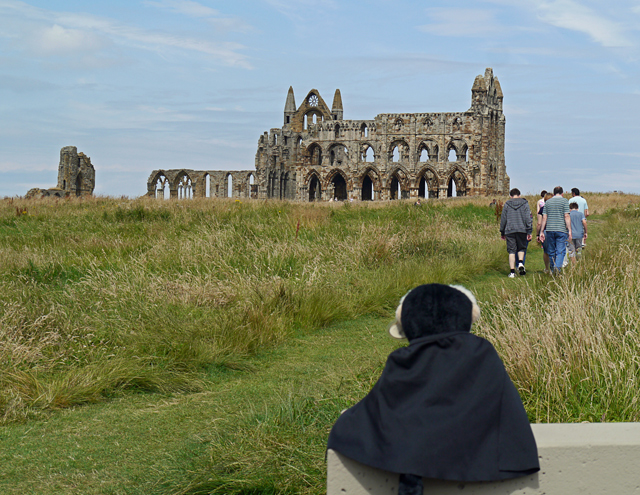 Mina Mooch monkey at Whitby Abbey