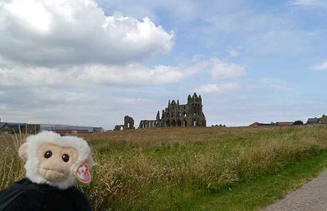 Mina Mooch monkey at Whitby Abbey