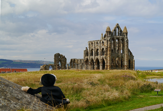 Mina Mooch monkey at Whitby Abbey