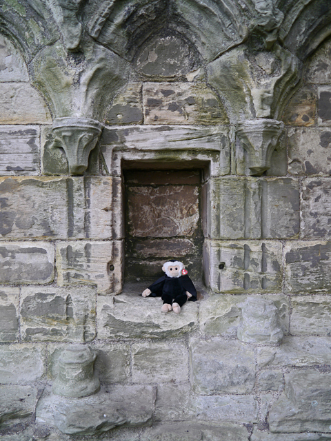 Mina Mooch monkey at Whitby Abbey