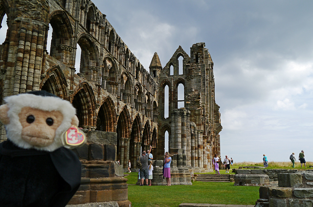 Mina Mooch monkey at Whitby Abbey