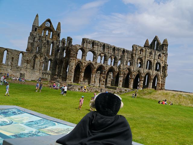 Mina Mooch monkey at Whitby Abbey