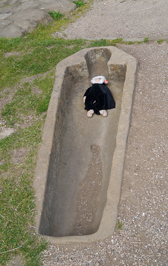 Mina Mooch monkey at Whitby Abbey