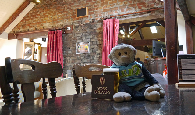 Mooch monkey has a beer at York Brewery