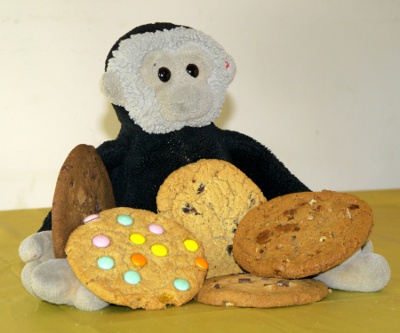 Mooch's Cookie Policy - Mooch monkey with cookies