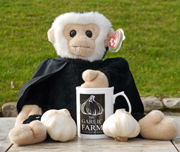 Mina Mooch monkey at the Garlic Farm on the Isle of Wight.